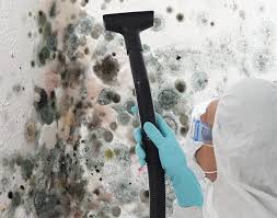 Best Environmental Consulting for Mold Prevention in Canfield, OH